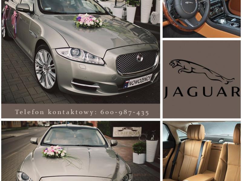 Jaguar XJ wynajem