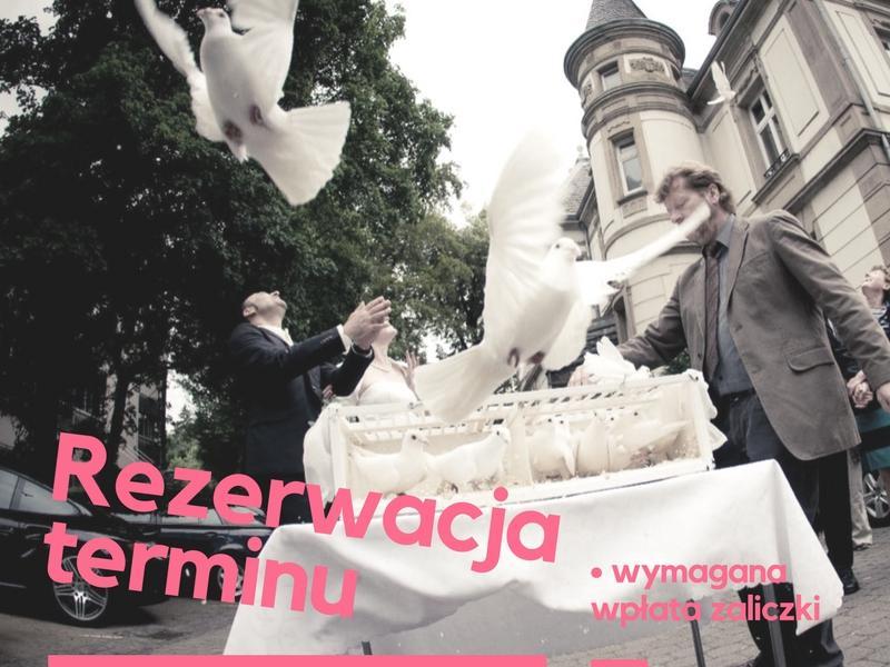 Białe gołębie na ślub całe woj. lubelskie i okolice